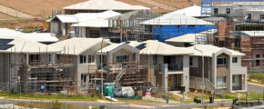 Market supply steady despite winter slump