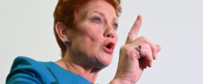 ‘Desperate’: One Nation lashes coalition policy