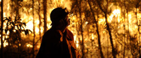 Retrofit rewards ushers in era of fire-safe homes